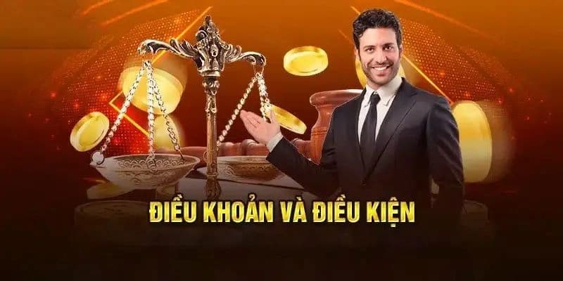 noi-dung-quan-trong-cua-dieu-khoan-va-dieu-kien