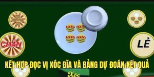 phuong-phap-doc-vi-xoc-dia-va-bang-du-doan-ket-qua