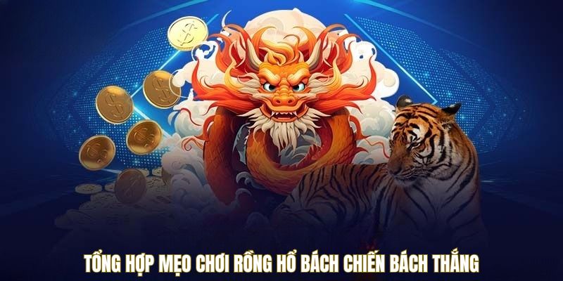 tong-hop-meo-choi-rong-ho